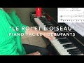 Le Roi et l&#39;Oiseau PIANO TRĒS FACILE DÉBUTANTS | partition doigtés | фортепиано для начинающих