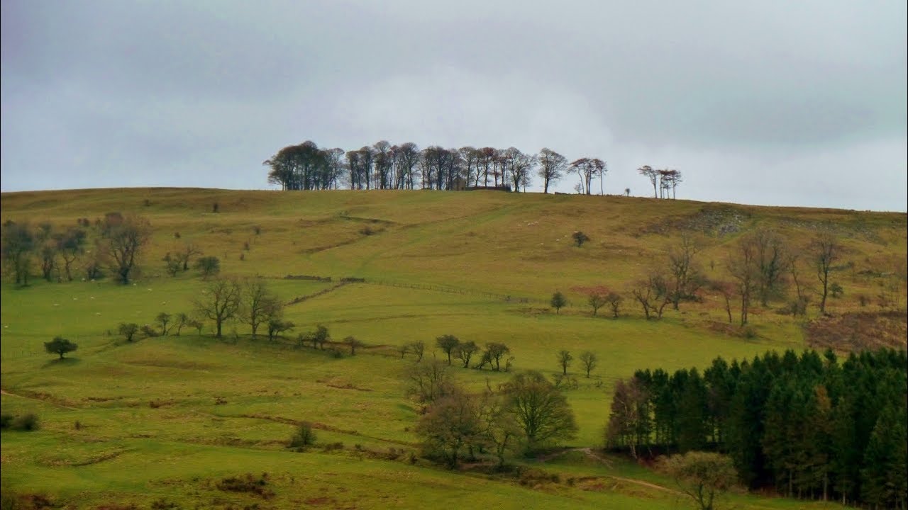 Boltby Forest & Boltby, North York Moors - 16 March 2019