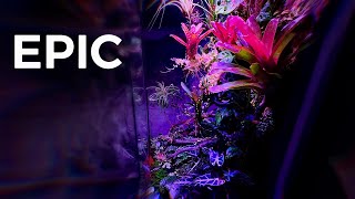 Cannibal Jungle in my Bedroom || Paludarium Update by Dr. Plants 2,155,638 views 2 years ago 8 minutes, 5 seconds