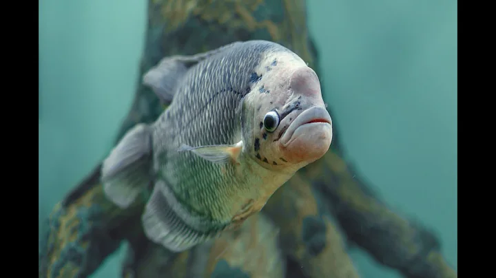 Free The Sea Stock Images with CC0 licenses with no attribution required for Commercial Use