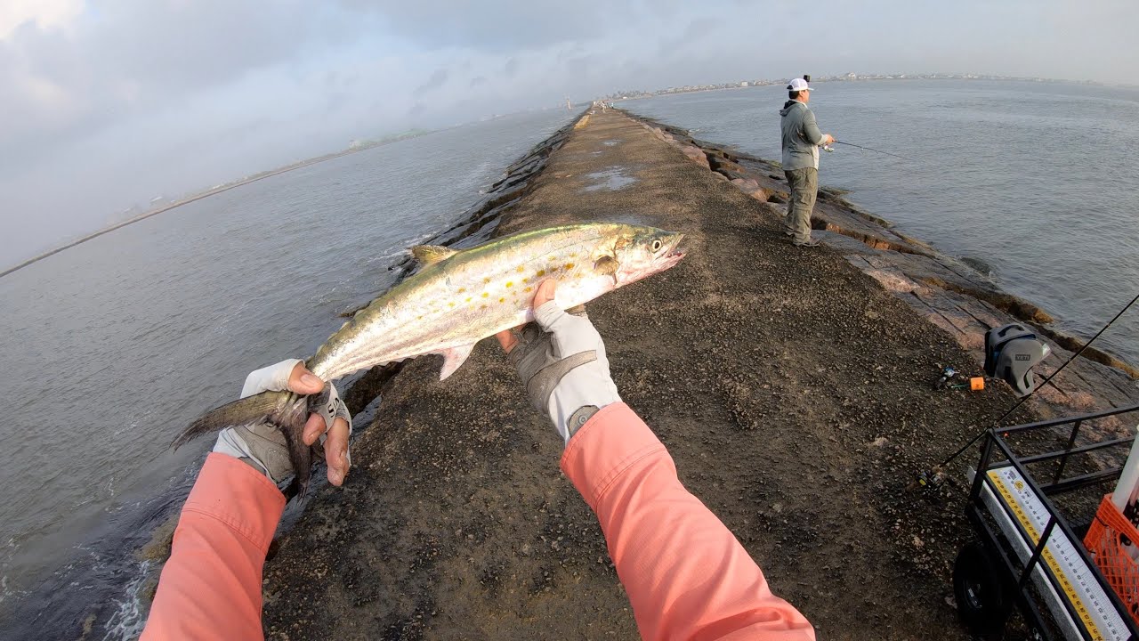 (S3 Ep105) Spanish Mackerel Surfside Jetty Freeport TX YouTube