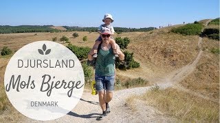 Amazing Mols Bjerge Nationalpark Near Ebeltoft | Ferie i Danmark - Djursland by GoDownsize 7,969 views 5 years ago 7 minutes, 19 seconds