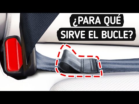 Lazo oculto en un cinturón de seguridad y otros detalles en los que nunca ha reparado