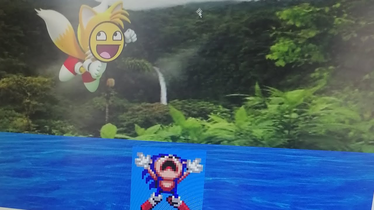 Sonic y tails estando en la selva brasileña eu manito Você sabia que sua mãe é um homem 