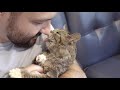 Clean, Cuddle and Crash with Lil BUB