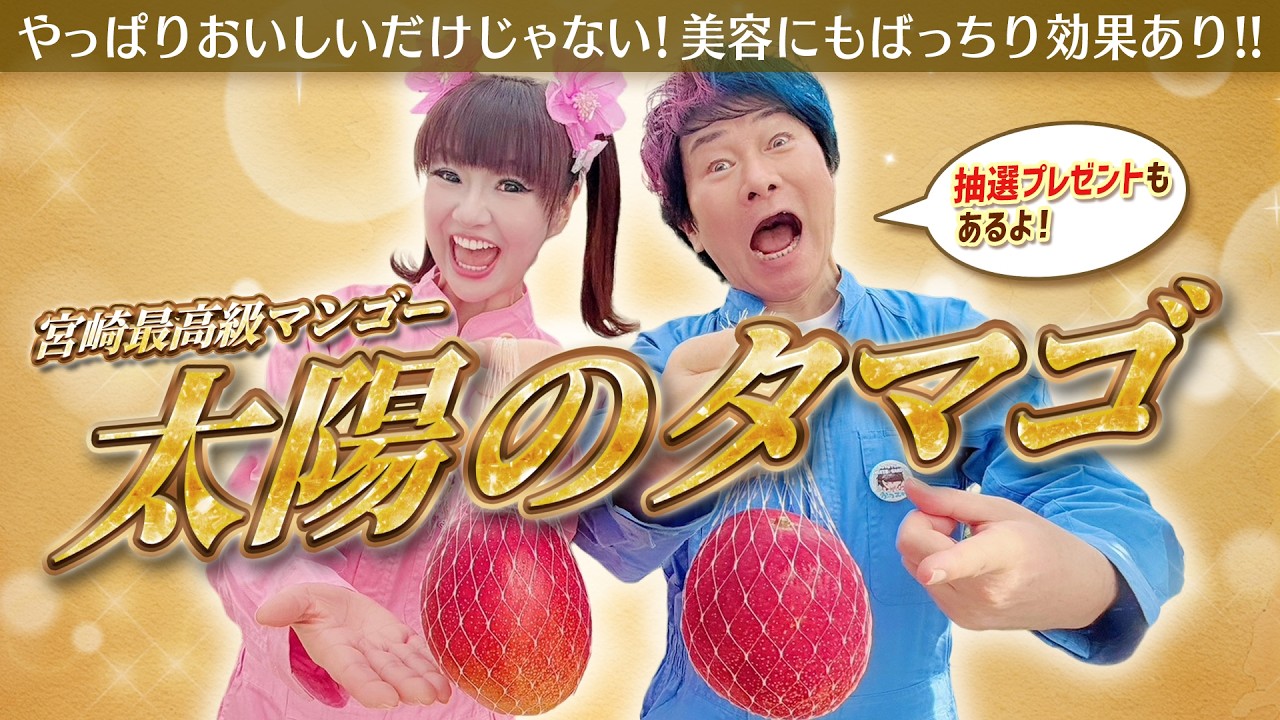 視聴者プレゼントも🎁⁉️宮崎県の高級マンゴー「太陽のタマゴ」の秘密に迫る👀