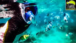 SEYCHELLES 2021 Snorkeling- Moyenne Island Giant Turtles & Cerf Island L'Habitation