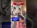 РУССКИЙ МУЖИК И ТИГР ДРУЗЬЯ #смех