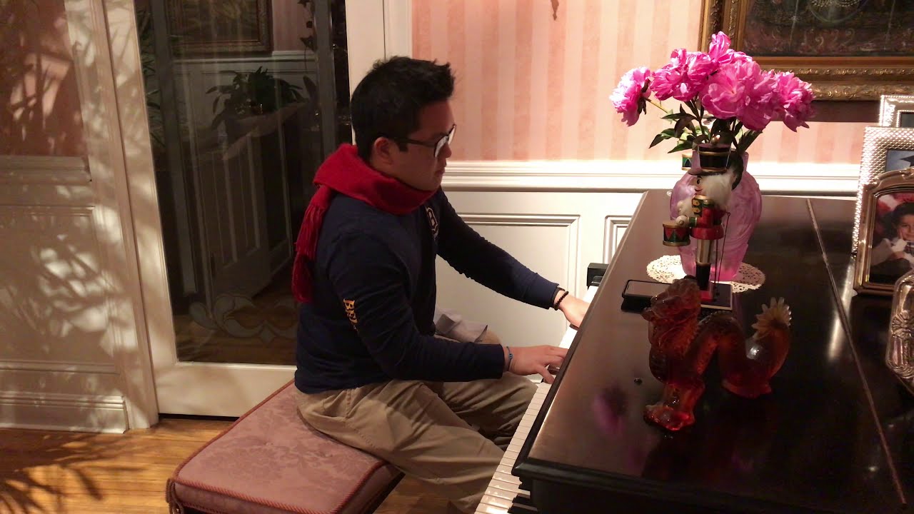 The Dragon Prince - Because She's Rayla (Piano Cover)