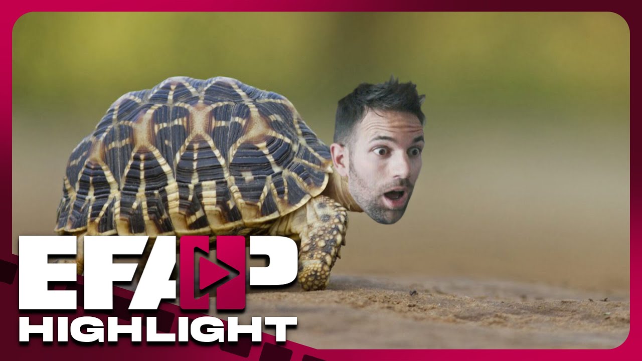 1.2 Billion | EFAP Highlight