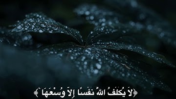 #تلاوة#خشوع حالات واتس ايات قرانيه مقاطع انستقرام #مكه #رمضان