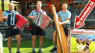 DIE HALODRIS AUS DEM ZILLERTAL - Die brandneue CD - Trailer 2022 chords