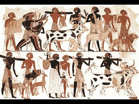 ვიდეო: ძველი ეგვიპტის წმინდა ცხოველები