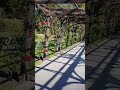 احلا ام بالدنيا امي