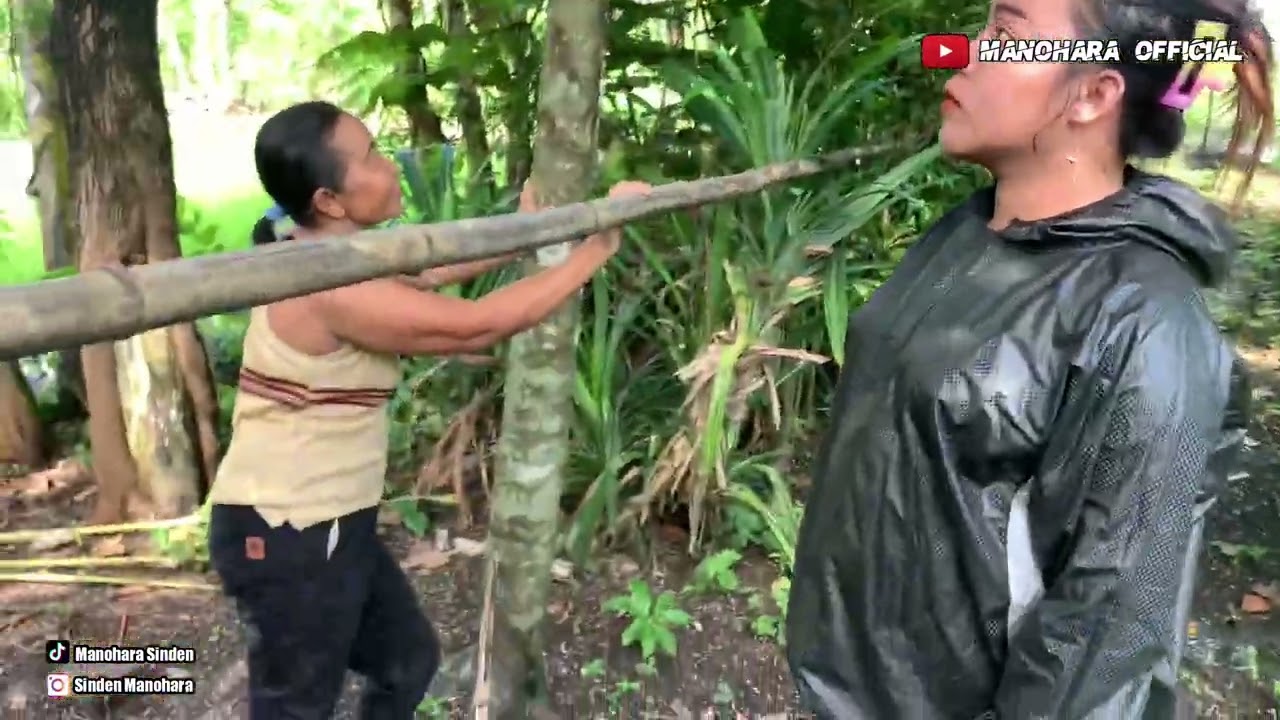 NLUSUR GOLEK JAMUR NENG TEGALAN KARO MAK SAWI