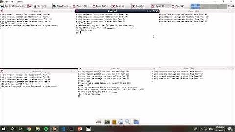 COMP3331 Assignment - Circular Peer System Demo - William Coulter