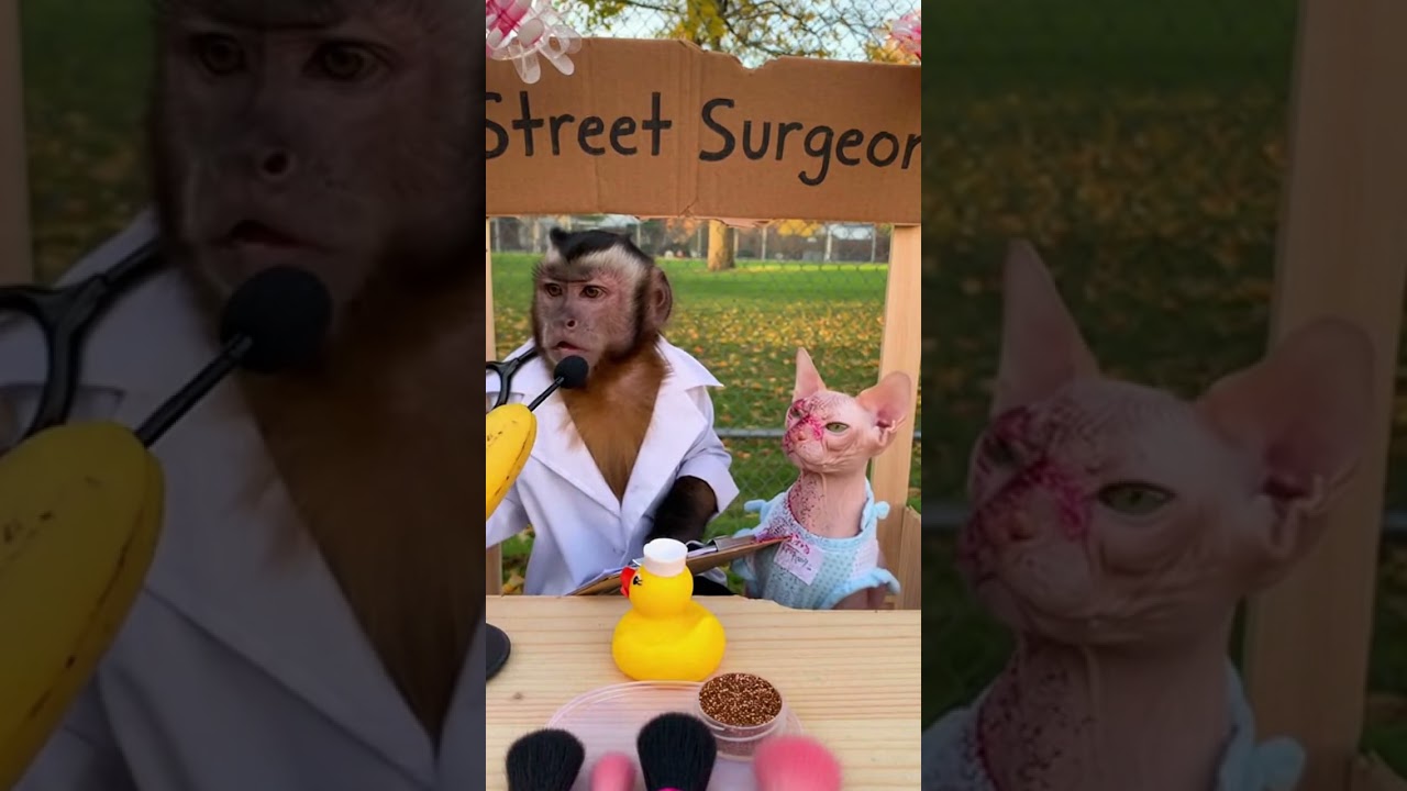 When your beauty doctor is a monkey! 🐒✨ 