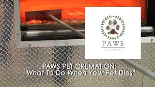 Paws Pet Cremation | What Do You Do When Your Pet Dies?