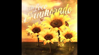 Erik Ramirez- Un Loco Enamorado