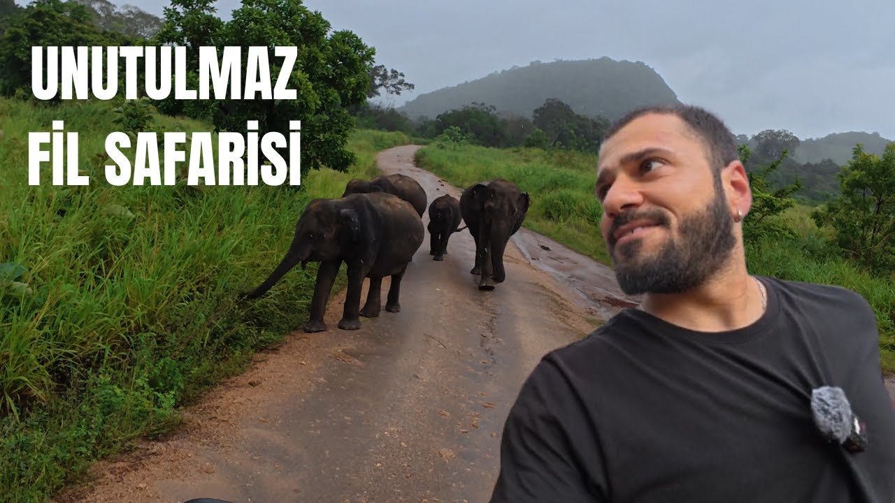 SRİ LANKA'DA FİL SAFARİSİ (Sri Lanka'da 1 Günüm)