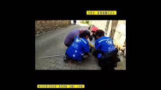 VID 20230329 WA0002