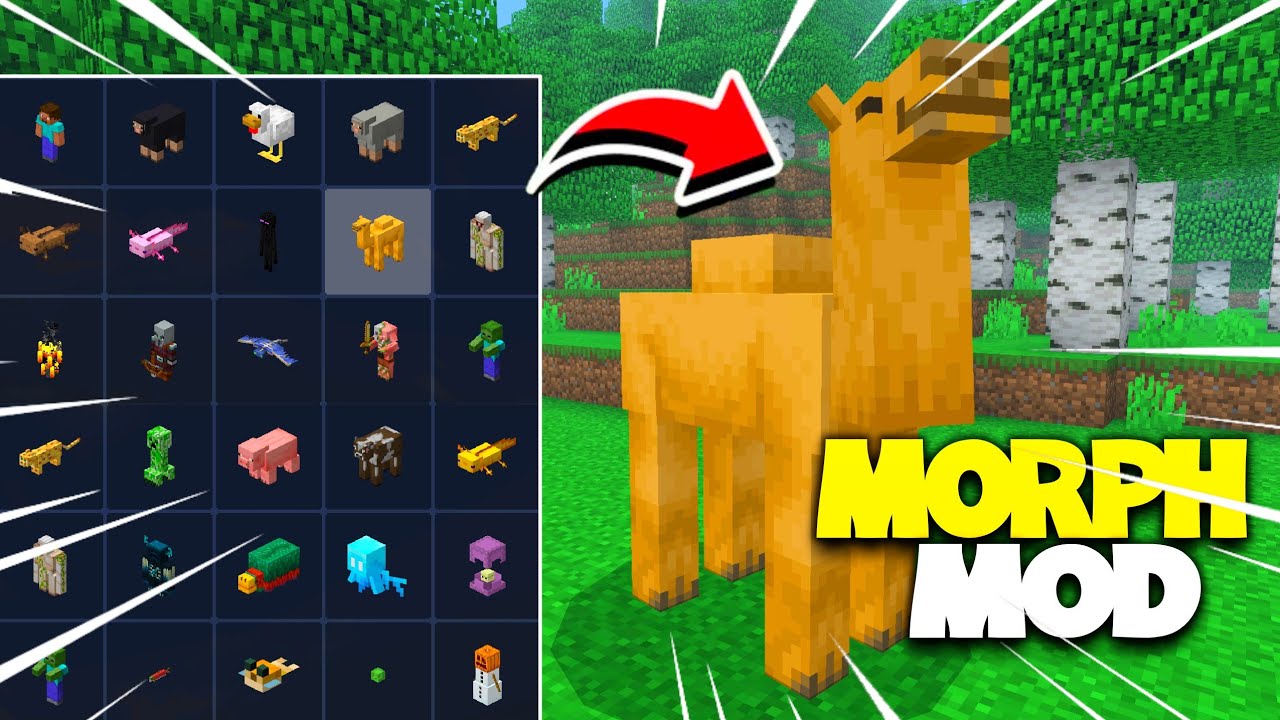 ATUALIZADO! COMO VIRAR QUALQUER MOB MO MINECRAFT PE 1.20! (Addon Morph ...