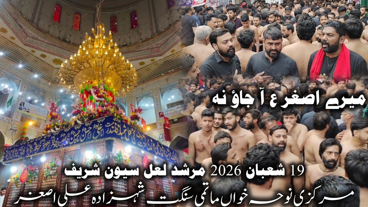 19 Shaban 2026 | Murshad lalshabaz | Mery Asghar as ajao.Matami Sangat Shahzada Ali Asghar as