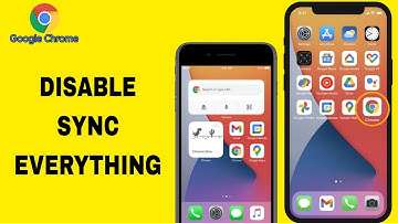 How To Disable Sync Everything On Google Chrome App