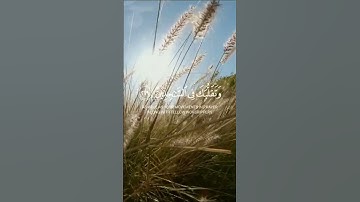 استغفر الله العظيم واتوب اليه. القارئ #اسلام_صبحي، سورة الشعراء. #القرآن #القرآن_الكريم #quran