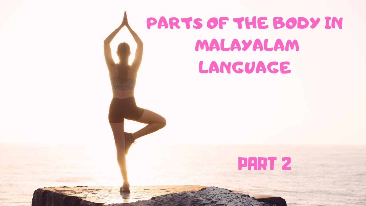 LEARN MALAYALAM THROUGH ENGLISHParts of the body in MalayalamPart 2