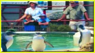 Why I Chose Rockingham Wa Western Australia And History Of Rockingham Part 3 Of 3