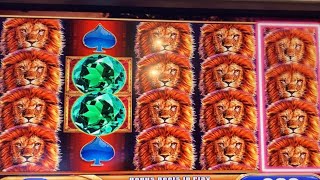 ★MEGA BIG WIN!!!★SO MANY LIONS!!!★King of Africa Slot Machine Bonus