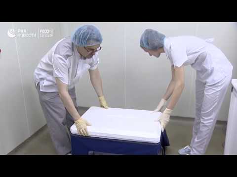 Видео: Пигментный кератит у мопсов в Великобритании: распространенность и сопутствующие признаки