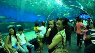 Manila Ocean Park - December 2012