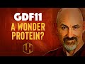 GDF11:  Moving the Longevity Needle? [2022]