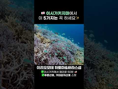 일본의 몰디브, 이시가키지마 여행 간다면 필수 시청