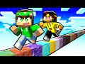 HO PIAZZATO 1.000.000 di BLOCCHI su MINECRAFT!
