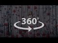 Ингрет Костенко – Ой, летіла зозуля - смотрите видео 360°