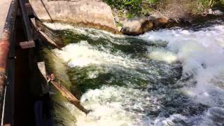 Rafting Rapid 2014-05-29 by NedTheDread 234 views 7 years ago 24 seconds