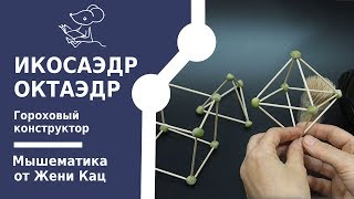 Гороховый конструктор: октаэдр и икосаэдр. 3D конструктор своими руками. Геометрия для детей