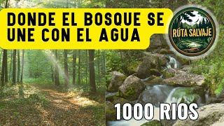 La ruta que pocos conocen Descubre Mil Rios Oaxaca