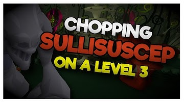 Sulliuscep Woodcutting Guide | Level 3 Skillers