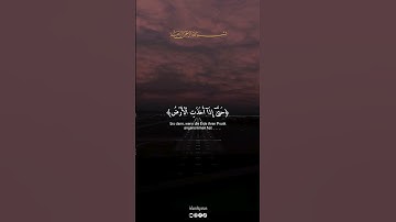 حتى إذا أخذت الأرض زخرفها، سورة يونس ، بصوت القارئ ياسر الدوسري