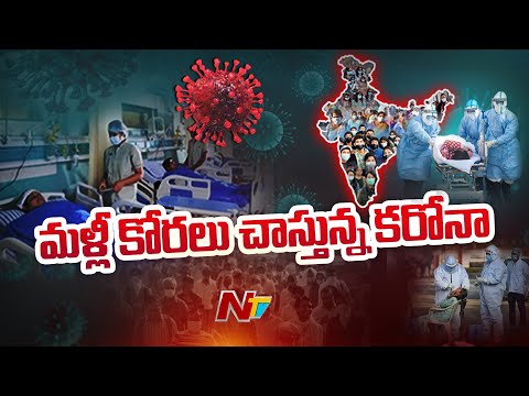 మళ్ళీ కోరలు చాస్తున్న కరోనా! | Daily Cases Cross 12000 Mark | Ntv