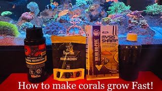 What to feed corals to increase growth and color! Best coral food to make corals grow fast! screenshot 4