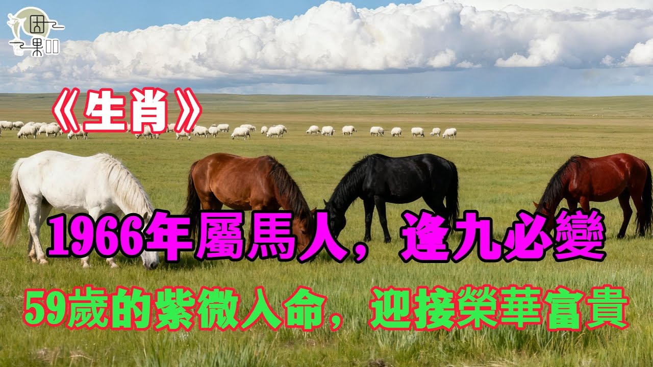 1966年屬馬人，逢九必變，你終於熬出頭了！59歲的歲末「紫微入命」，準備迎接榮華富貴！#1966年屬馬 #屬馬 #屬馬運勢 #丙午馬 #2026運勢 #轉運 #財運 #貴人 #生肖 #命理 #生肖馬
