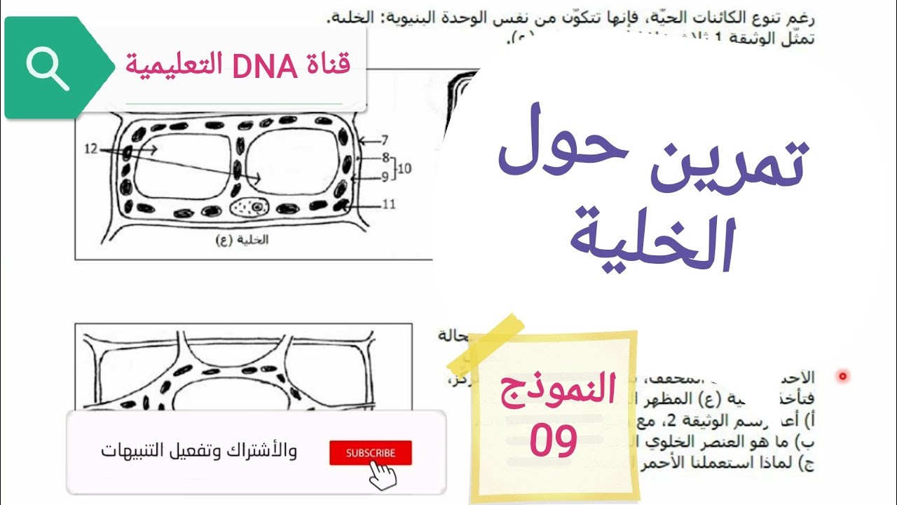 تمارين الخلية وحدة بنيوية للسنة الثانية ثانوي