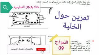 تمارين الخلية وحدة بنيوية للسنة الثانية ثانوي