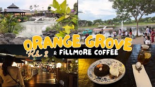 Senja di Orange Grove PIK 2 & Ngopi di Fillmore Coffee