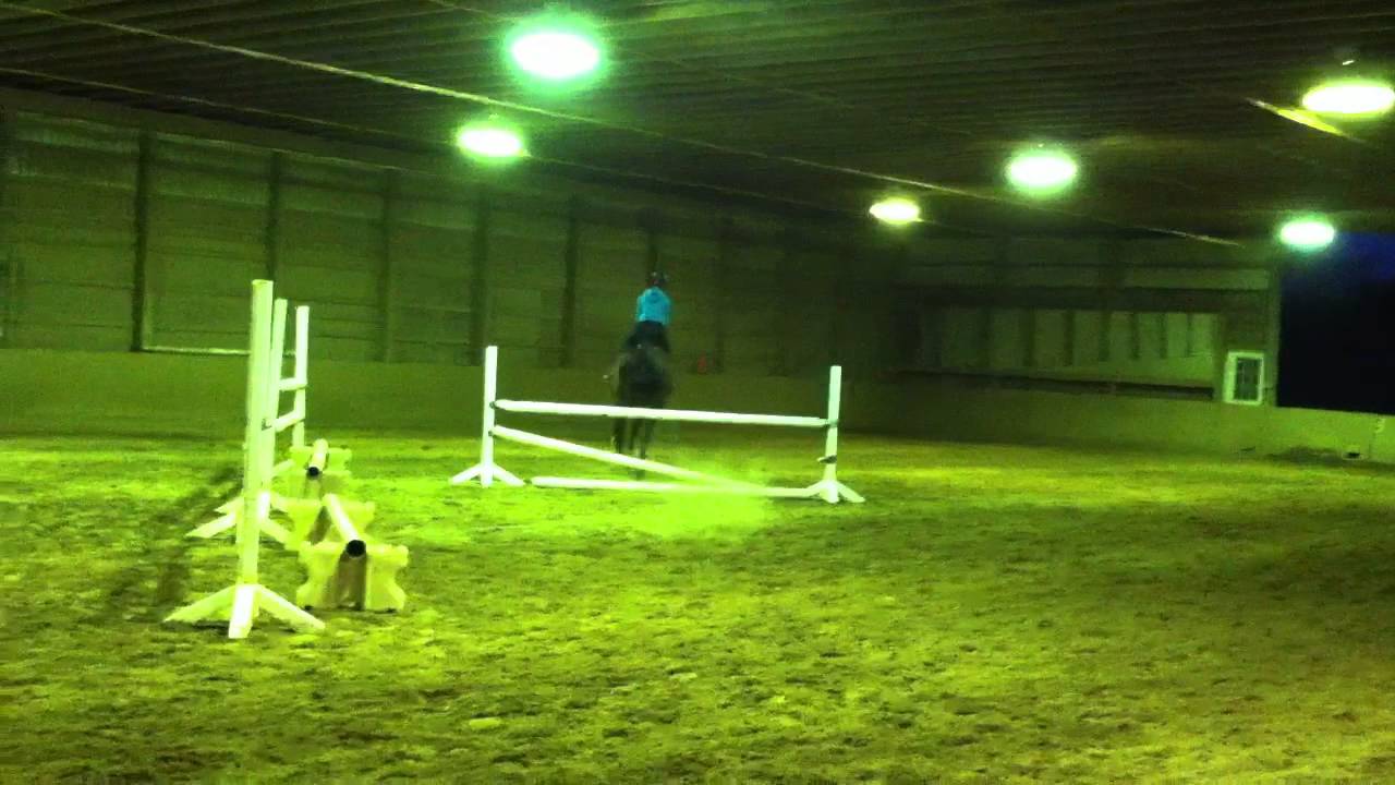 Bad Horse Jumping Accident YouTube